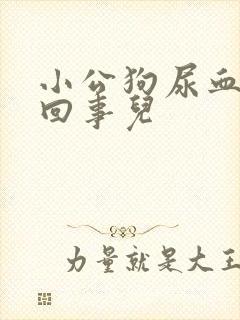 小公狗尿血怎么回事儿