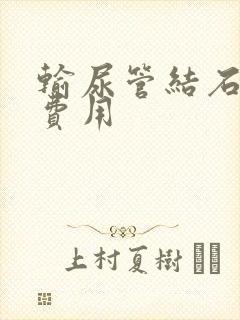 输尿管结石软镜费用