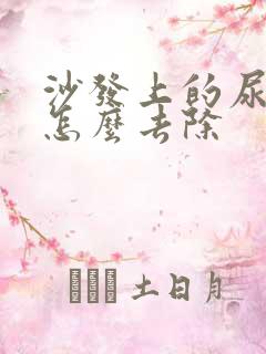 沙发上的尿骚味怎么去除