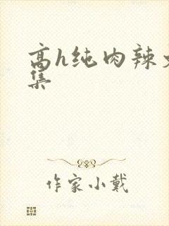 高h纯肉辣文合集