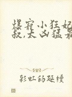 爆宠小狂妃:皇叔,太凶猛最新章节