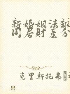 新婚姻法离婚后同居财产分割