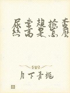 尿常规检查粘液丝高是怎么回事