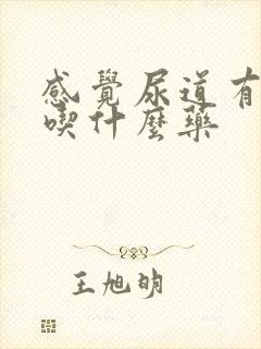 感觉尿道有点痒吃什么药