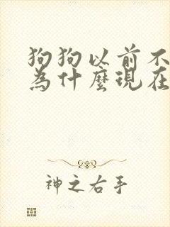 狗狗以前不乱尿为什么现在乱尿了