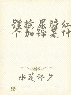 体检尿胆红素1个加号是什么意思