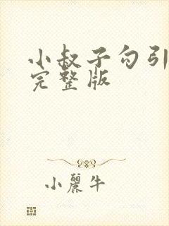 小叔子勾引嫂子完整版