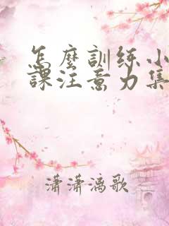 怎么训练小孩上课注意力集中