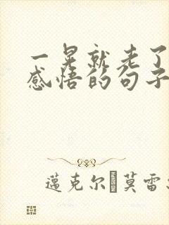 一晃就老了人生感悟的句子