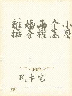 离婚两个小孩子抚养权怎么判定