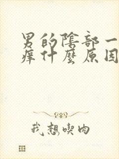 男的阴部一直瘙痒什么原因