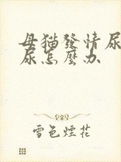 母猫发情尿不出尿怎么办