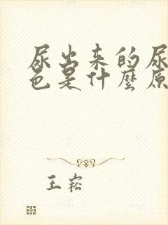 尿出来的尿是红色是什么原因