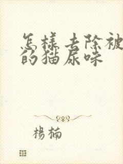 怎样去除被褥上的猫尿味