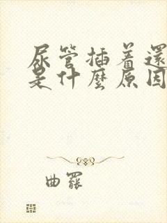 尿管插着还漏尿是什么原因