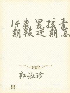 14岁男孩青春期叛逆期怎么办