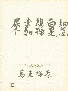 尿常规白细胞一个加号是怎么回事