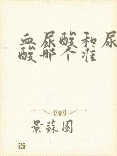 血尿酸和尿液尿酸哪个准