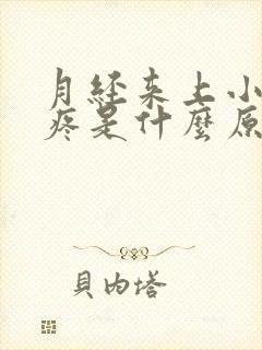 月经来上小便都疼是什么原因