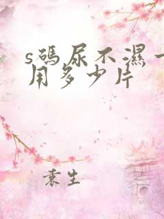 s码尿不湿一般用多少片