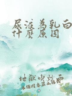 尿液为乳白色是什么原因