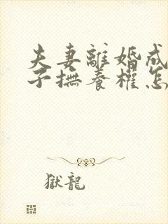 夫妻离婚成年孩子抚养权怎么判定