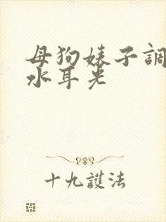 母狗婊子调教圣水耳光