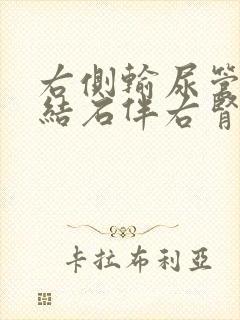 右侧输尿管上段结石伴右肾积液