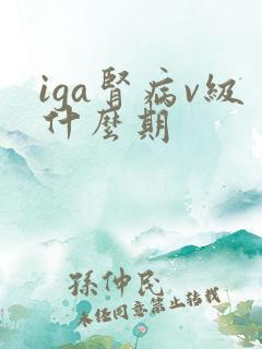 iga肾病v级什么期