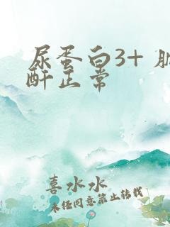 尿蛋白3+ 肌酐正常