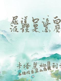 尿道口流白色的液体是怎么回事