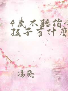 4岁不听指令的孩子有什么训练方法