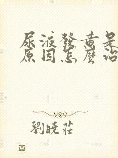 尿液发黄是什么原因怎么治疗