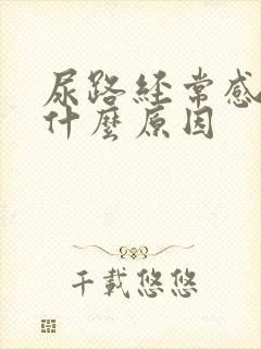 尿路经常感染是什么原因