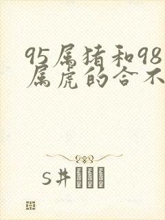 95属猪和98属虎的合不合婚