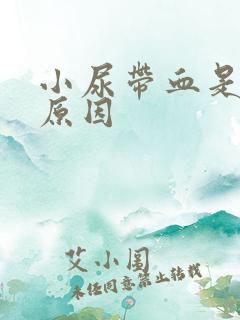 小尿带血是什么原因