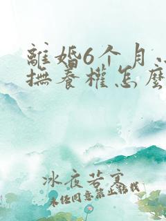 离婚6个月小孩抚养权怎么判定