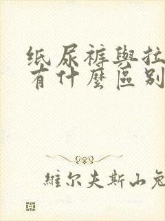 纸尿裤与拉拉裤有什么区别