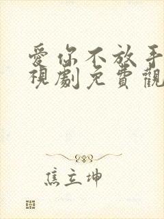 爱你不放手 电视剧免费观看