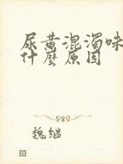 尿黄混浊味重是什么原因