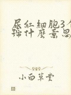 尿红细胞3个加号什么意思