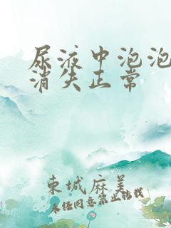 尿液中泡泡多久消失正常