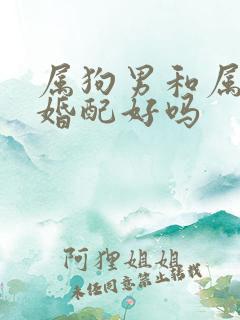 属狗男和属虎女婚配好吗