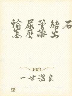 输尿管结石在肾怎么排出