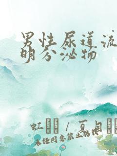 男性尿道流出透明分泌物