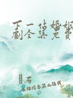 下一站婚姻电视剧全集免费观看完整版