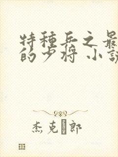 特种兵之最年轻的少将 小说