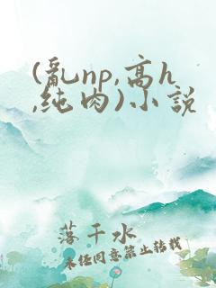 (乱np,高h,纯肉)小说