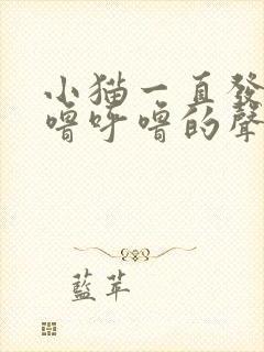 小猫一直发出呼噜呼噜的声音是怎么回事