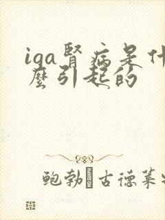 iga肾病是什么引起的